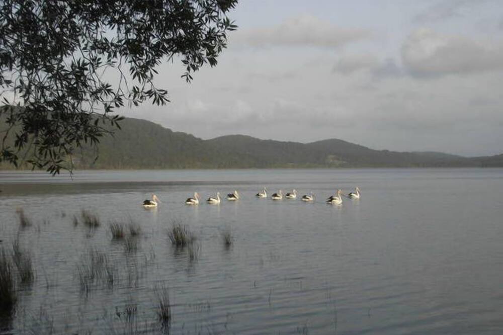 Photo of Others in Smiths Lake