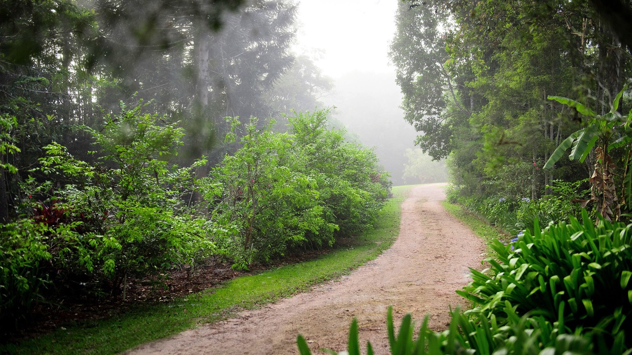 Photo of Outdoor in Malanda