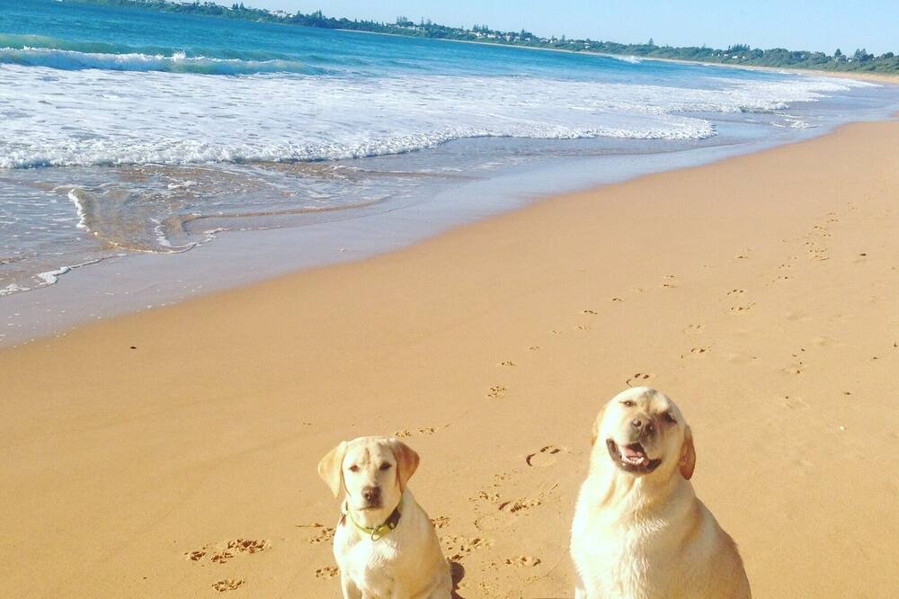 Photo of Others in Culburra Beach