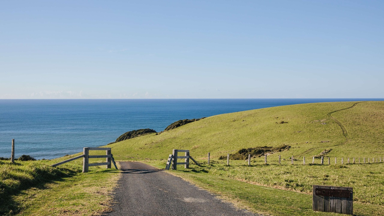 Photo of Outdoor in Gerringong