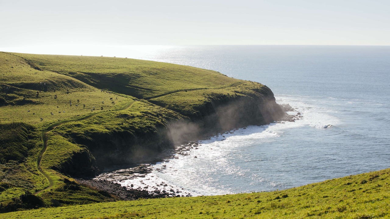 Photo of Others in Gerringong
