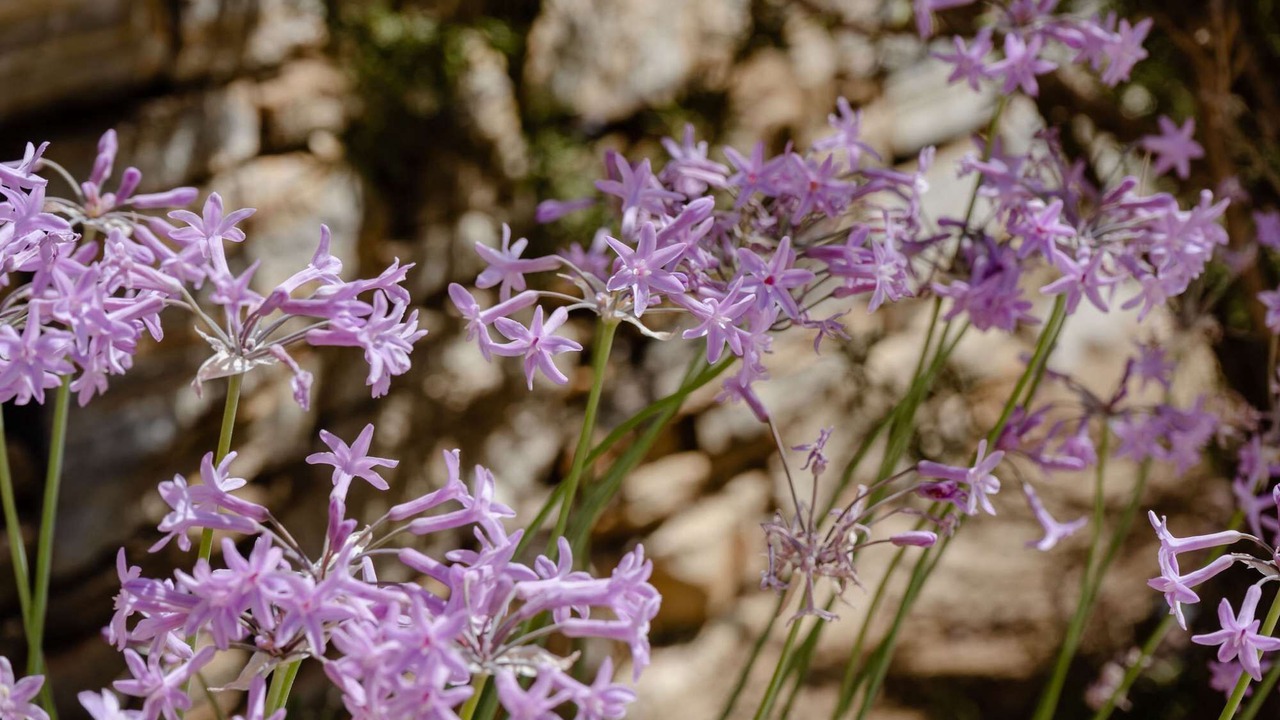 Photo of Outdoor in Naxos