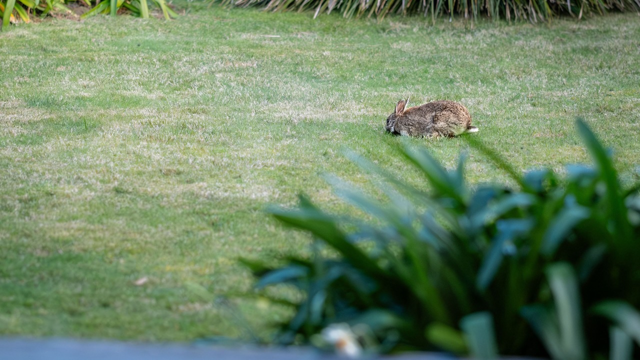 Photo of Outdoor in Coles Bay