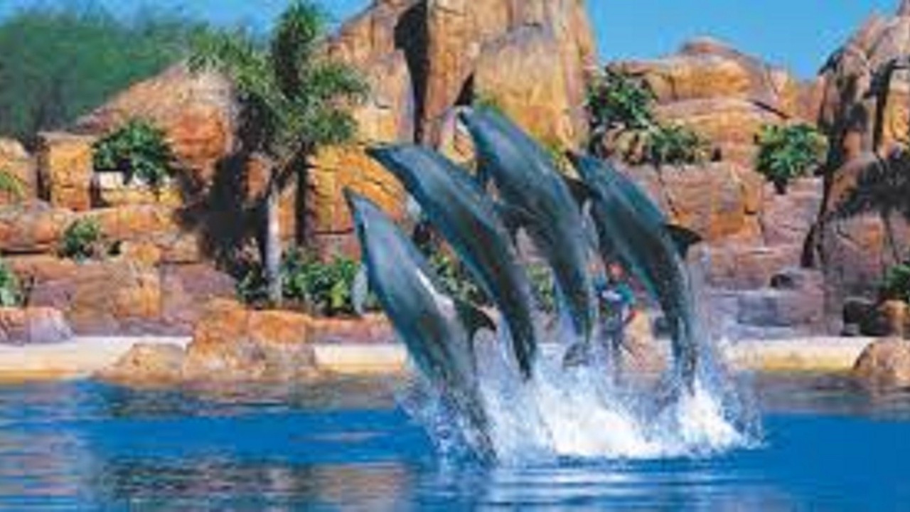Photo of Others in Coomera