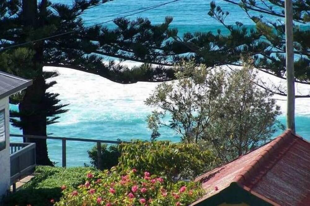 Photo of Others in Tuross Head