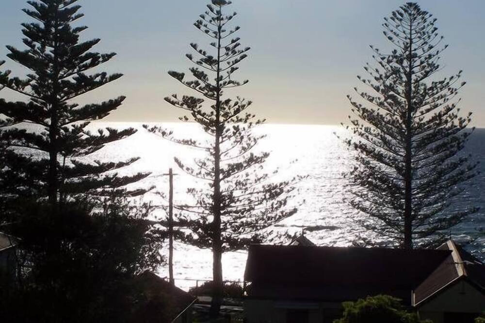 Photo of Others in Tuross Head