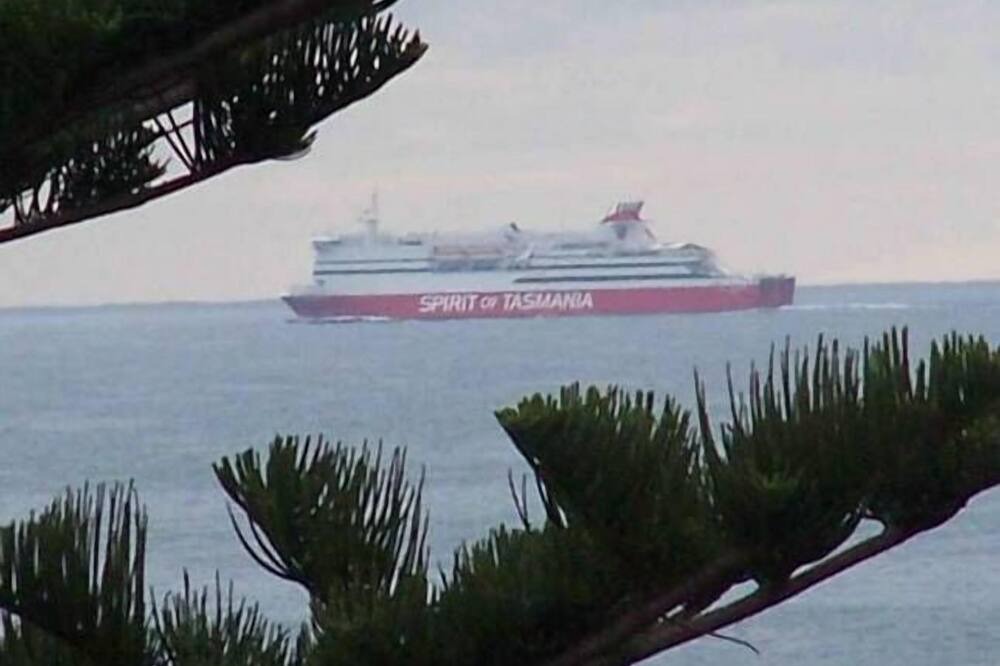 Photo of Others in Tuross Head