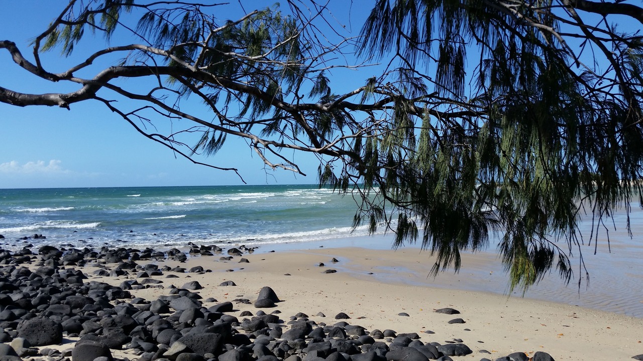 Photo of Others in Coral Cove