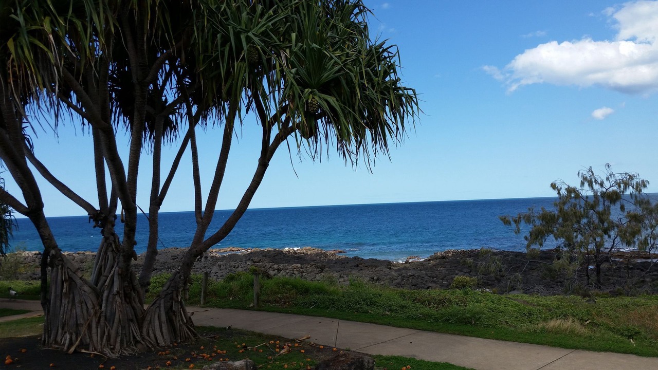 Photo of Others in Coral Cove