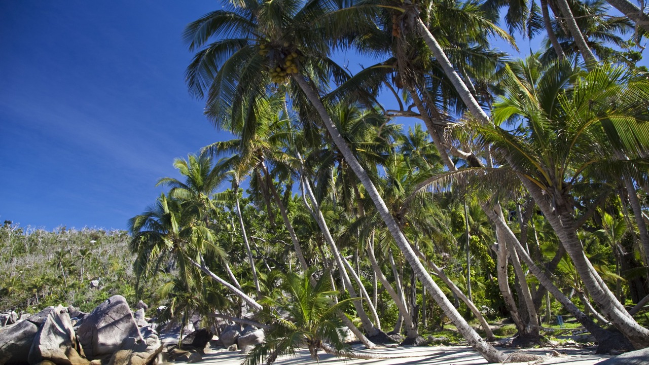 Photo of Others in Bedarra Island