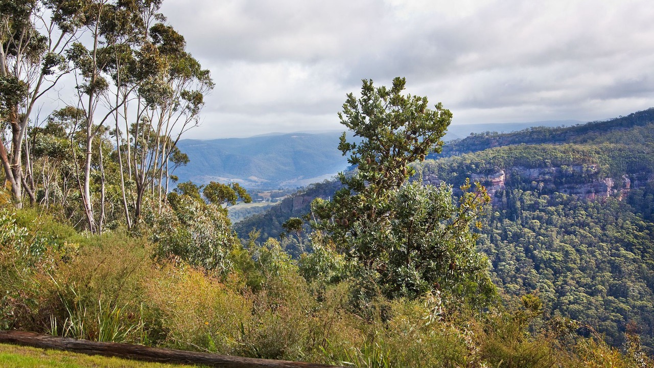 Photo of Outdoor in Medlow Bath