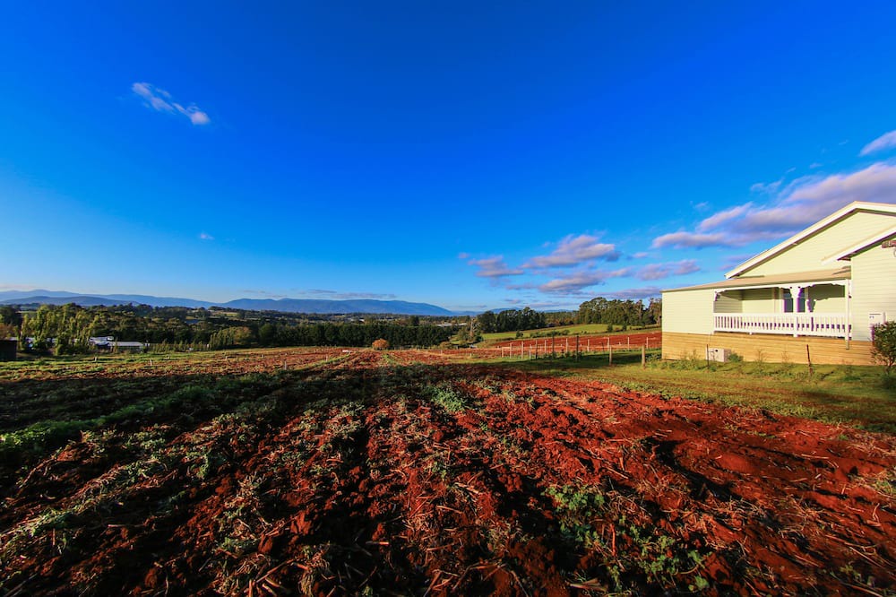 Photo of Others in Silvan