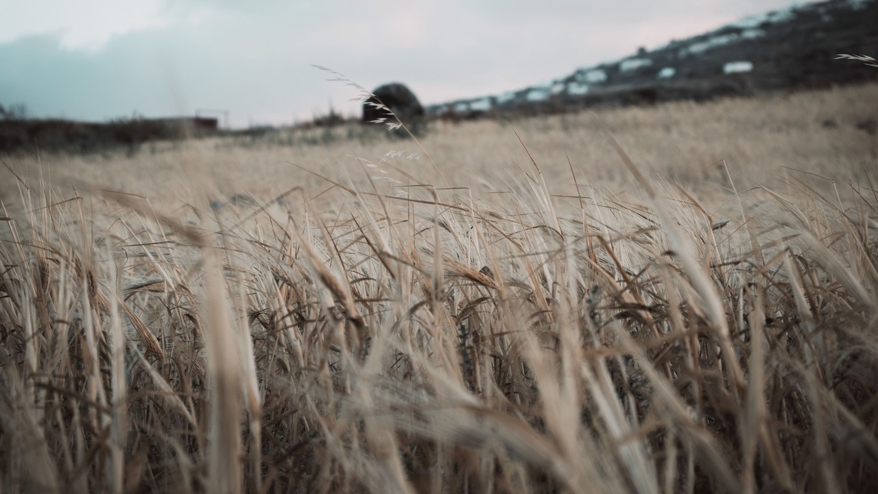 Photo of Outdoor in Imerovigli