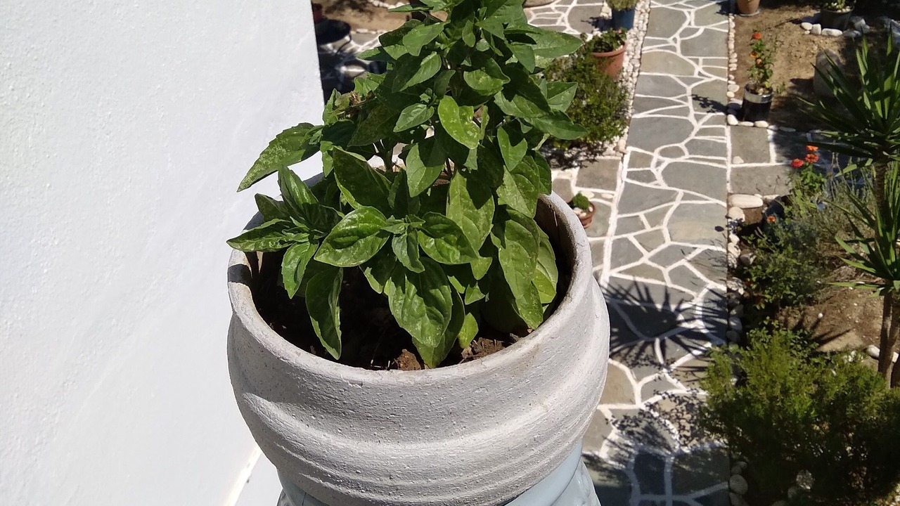 Photo of Outdoor in Chrissi Akti