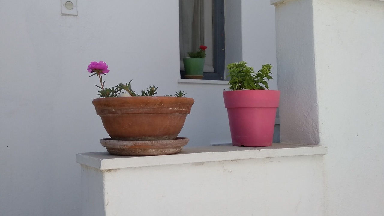 Photo of Others in Chrissi Akti