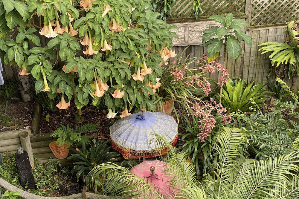 Photo of Outdoor in Forresters Beach