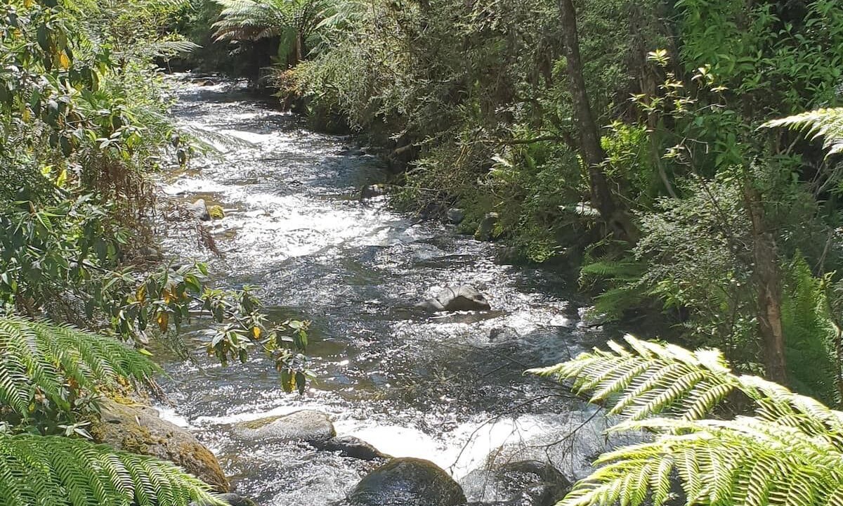 Photo of Outdoor in Tawonga South