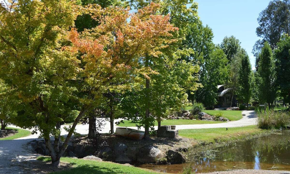 Photo of Outdoor in Tawonga South
