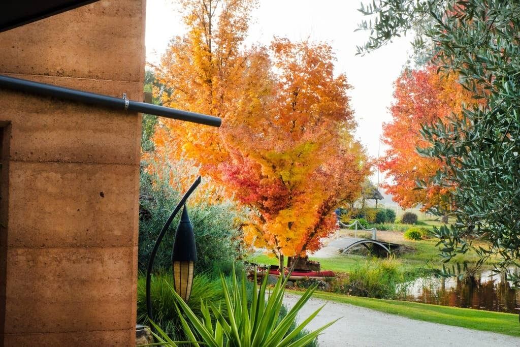 Photo of Outdoor in Tawonga South
