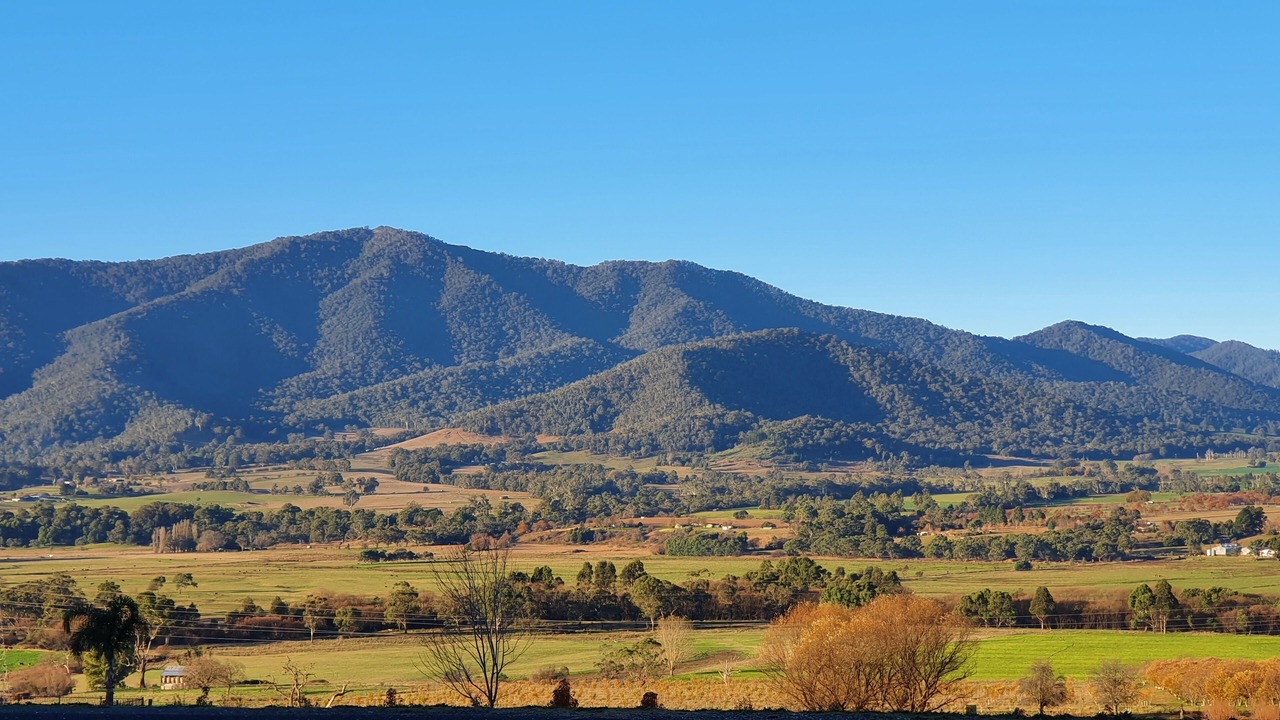 Photo of Others in Tawonga South