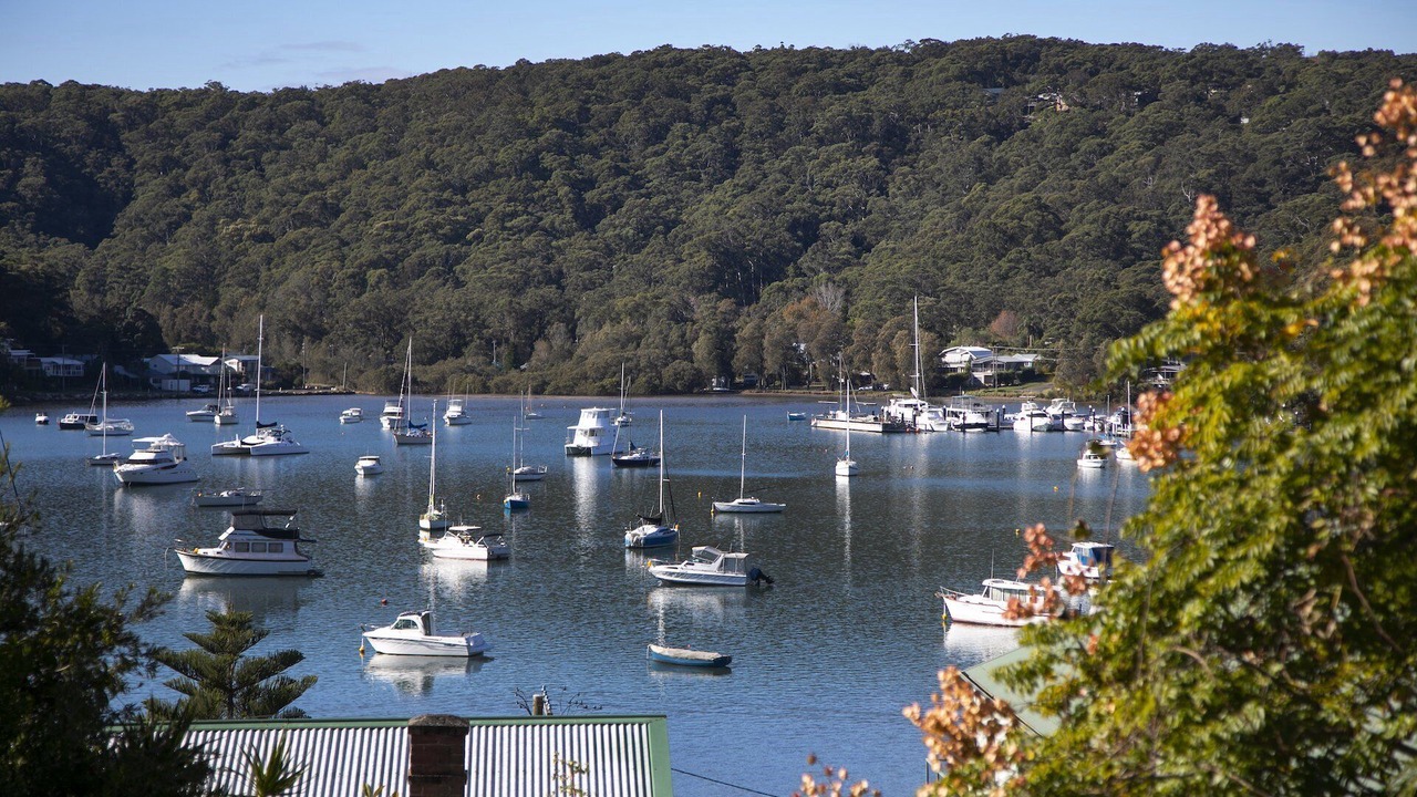 Photo of Others in Hardys Bay