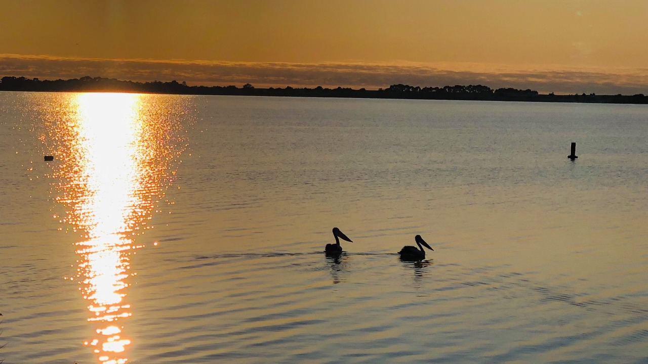 Photo of Outdoor in Lake Boga