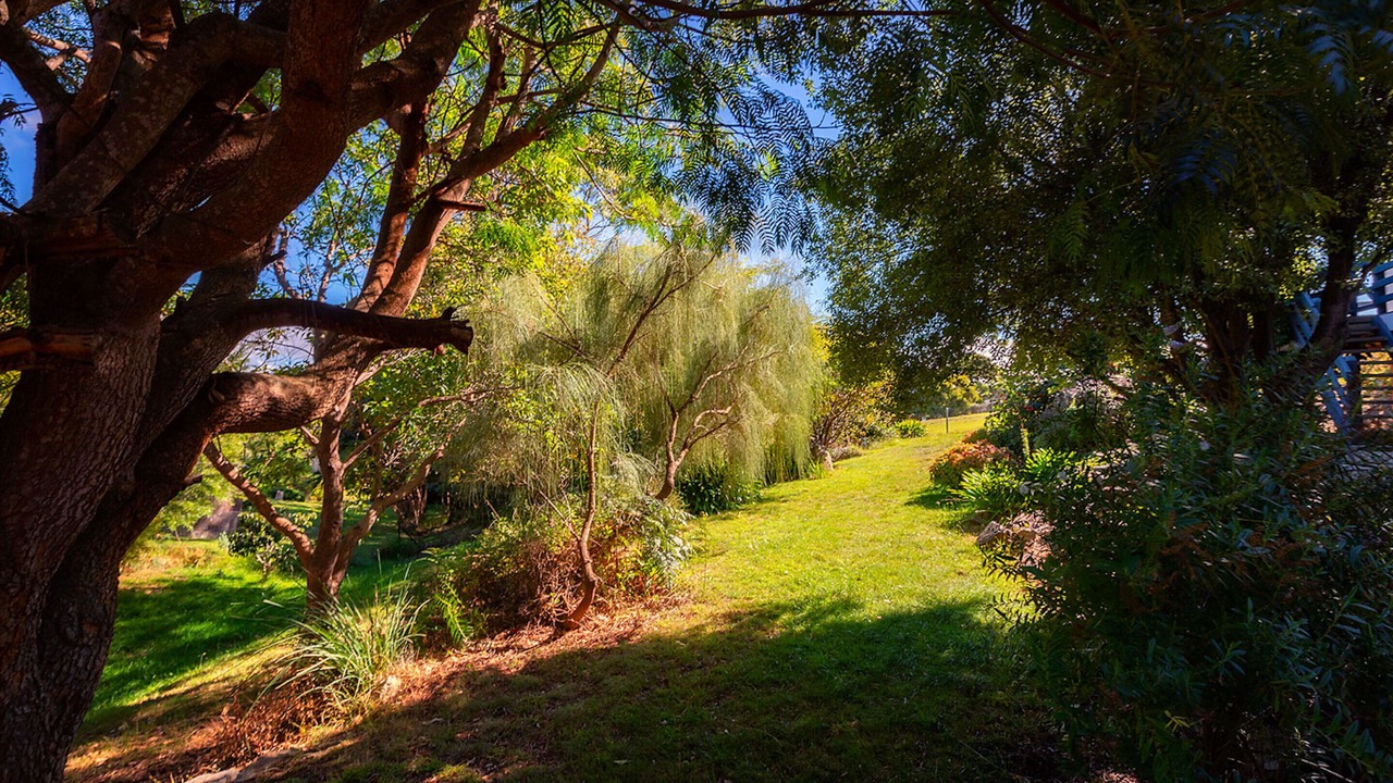 Photo of Outdoor in Binalong Bay