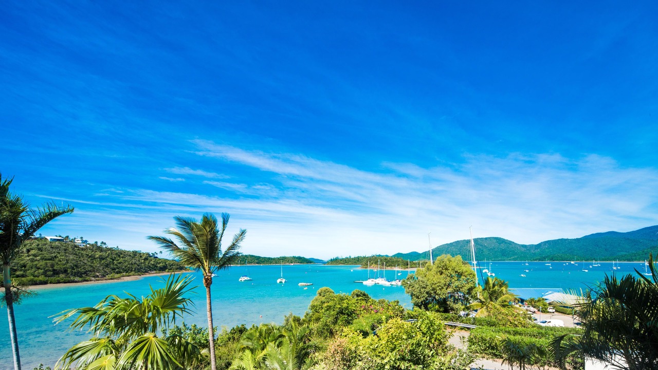 Photo of Others in Shute Harbour