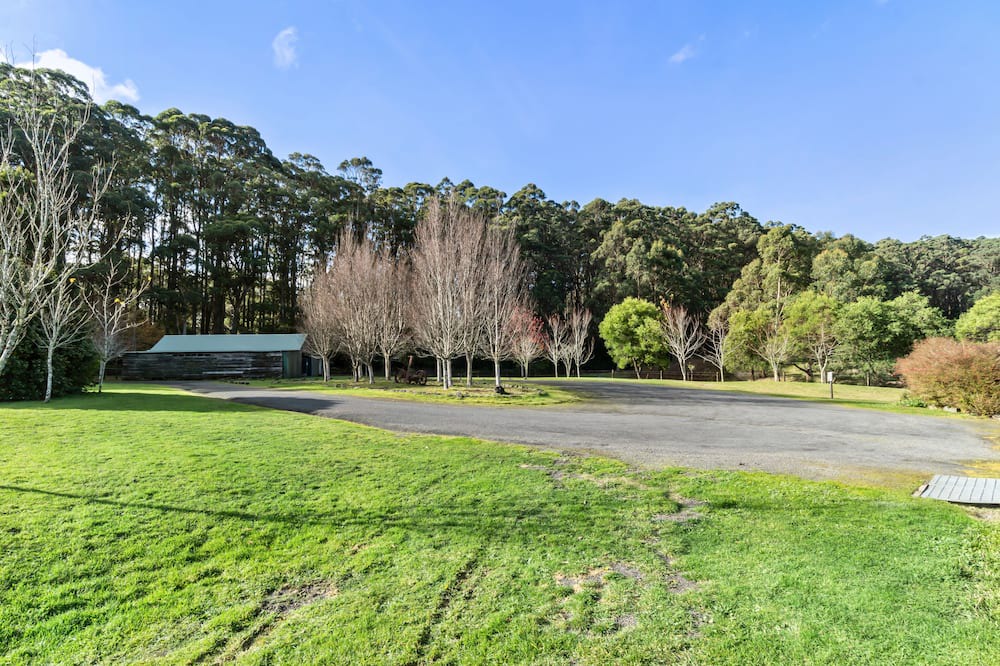 Photo of Others in Lorne
