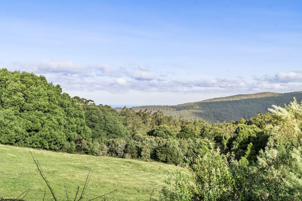 Photo of Outdoor in Lorne