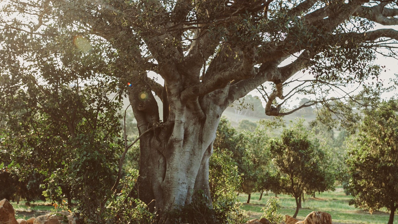 Photo of Outdoor in Teven