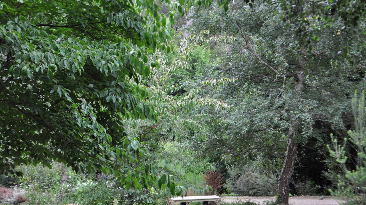 Photo of Outdoor in Avonsleigh