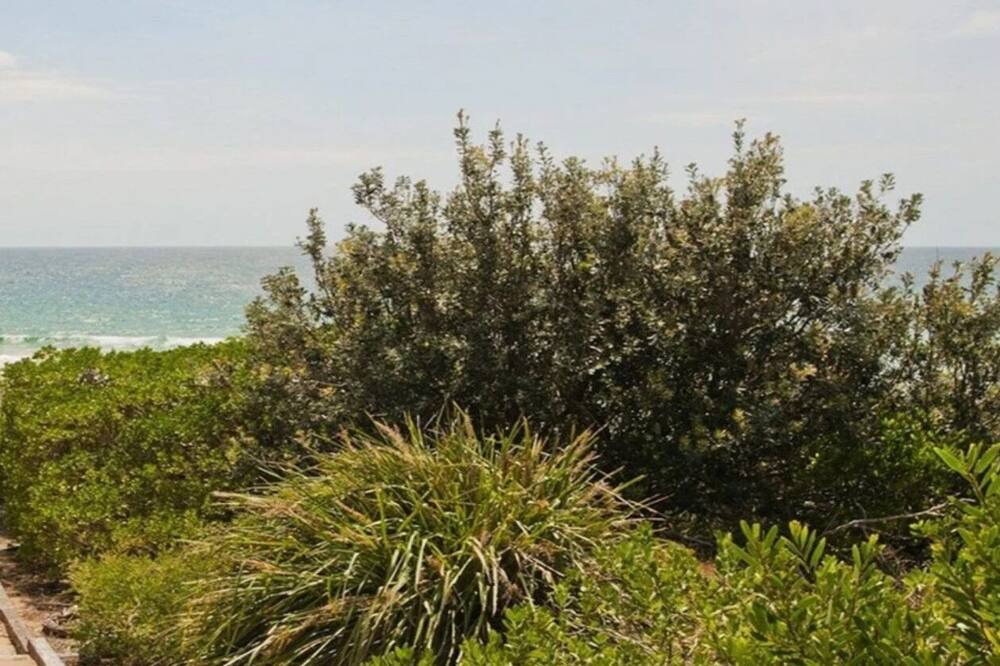 Photo of Others in Culburra Beach
