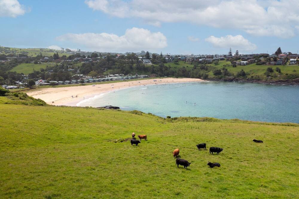 Photo of Others in Kiama Heights