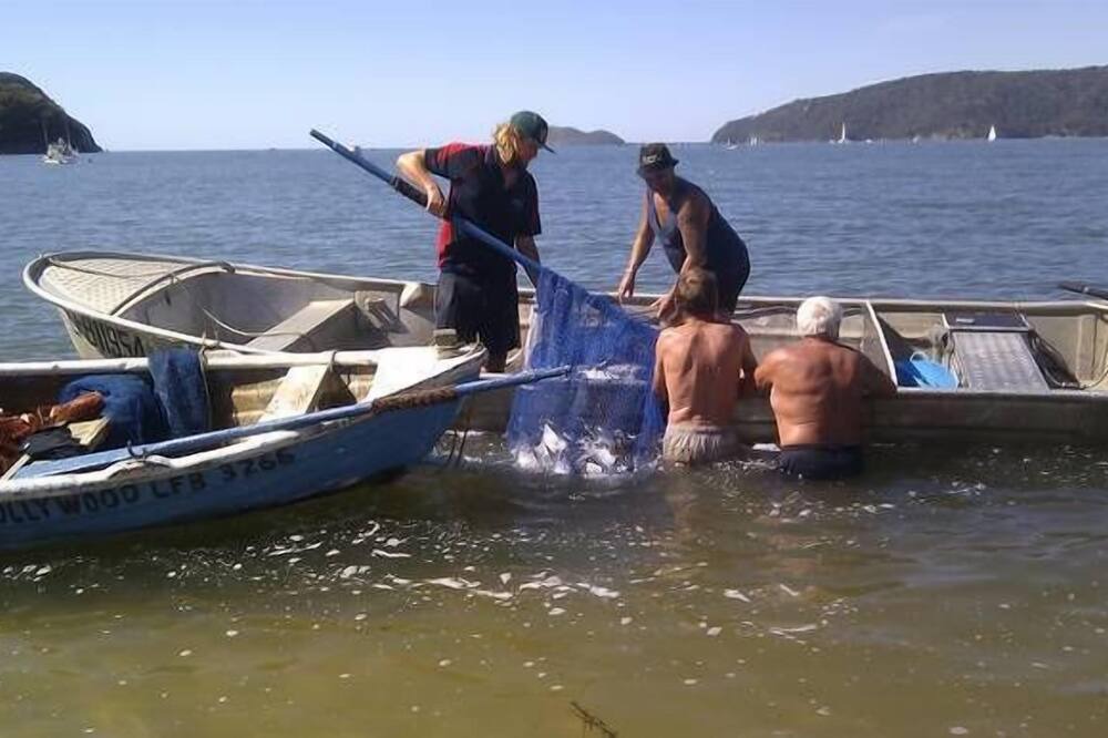 Photo of Outdoor in Patonga