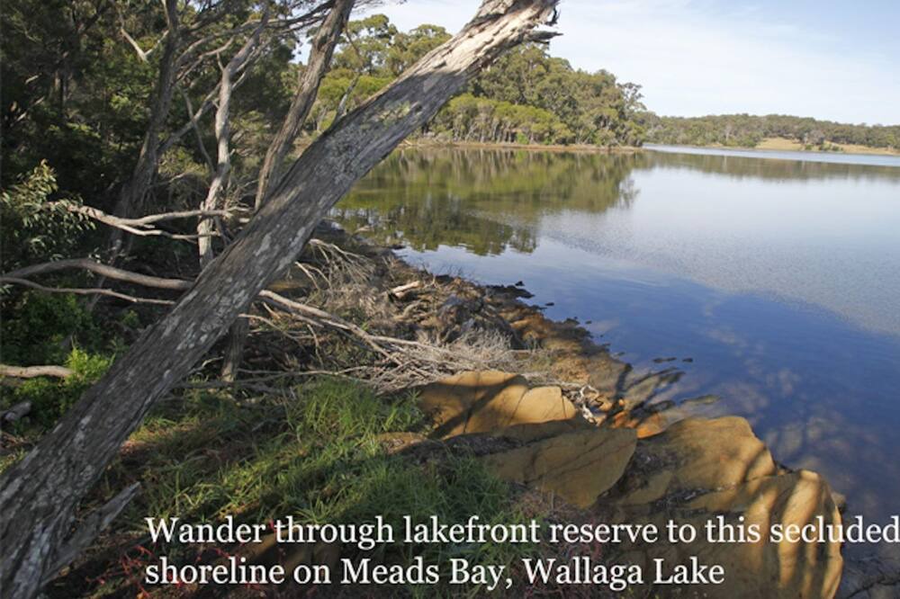 Photo of Others in Wallaga Lake
