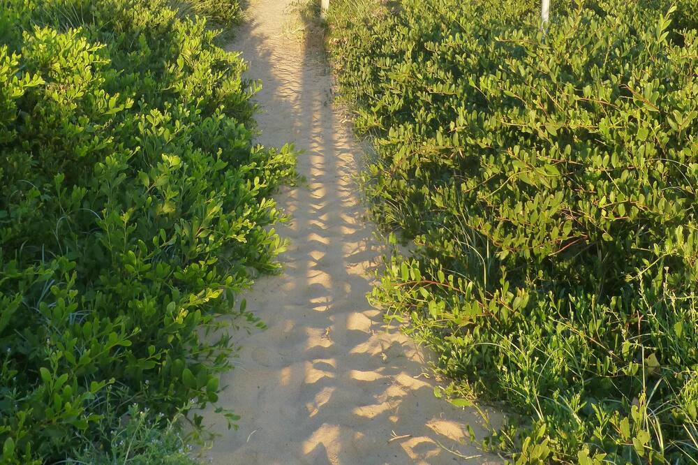 Photo of Others in Werri Beach
