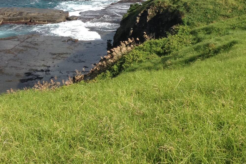 Photo of Others in Werri Beach