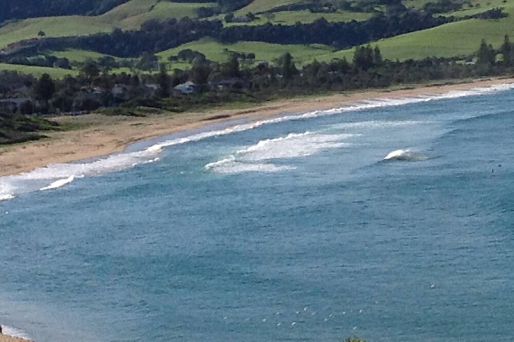 Photo of Others in Werri Beach