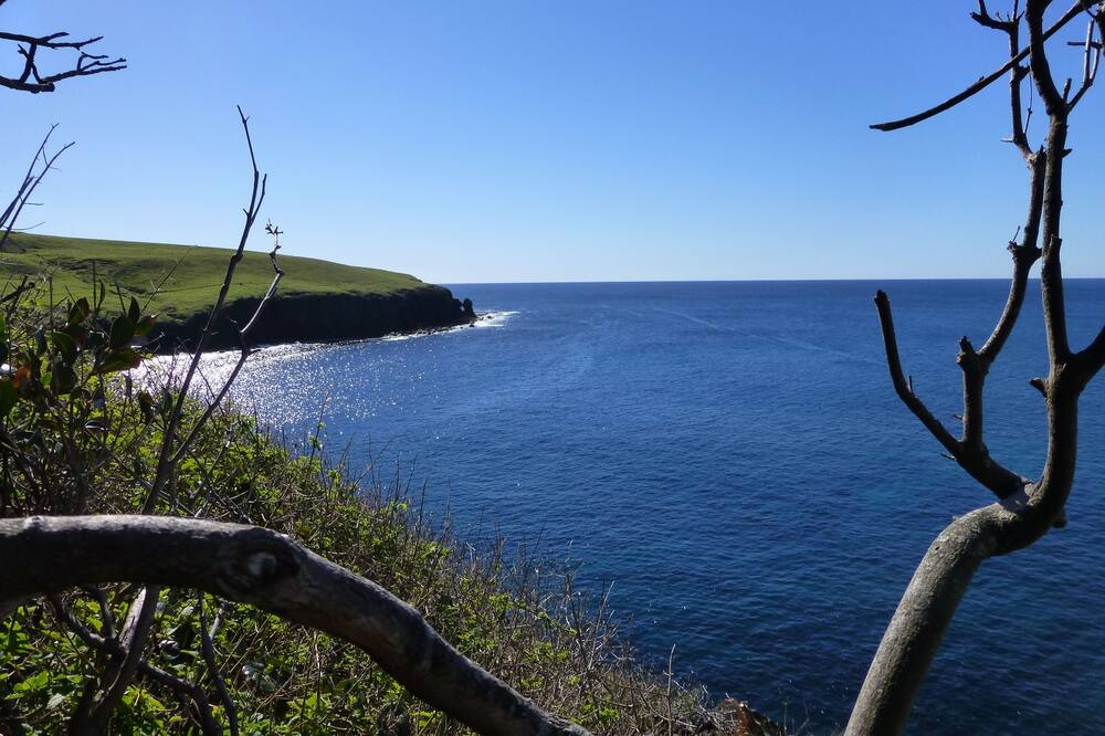 Photo of Others in Werri Beach