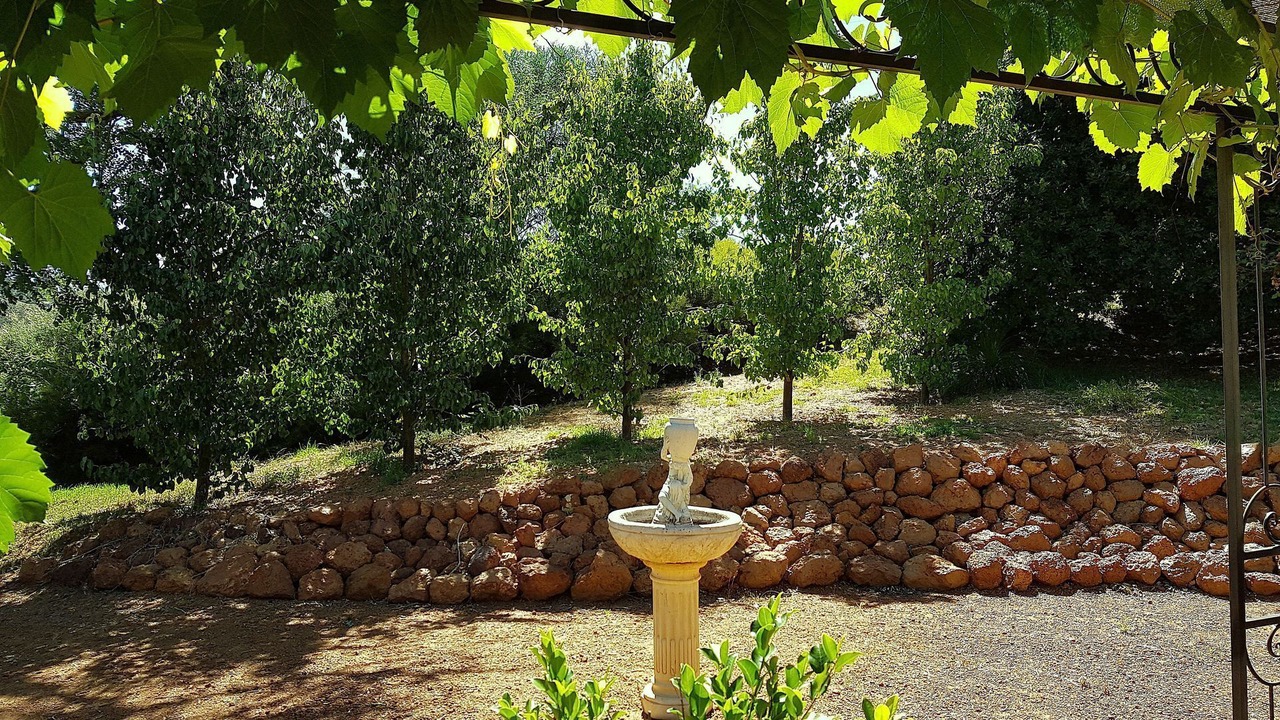 Photo of Outdoor in Balingup
