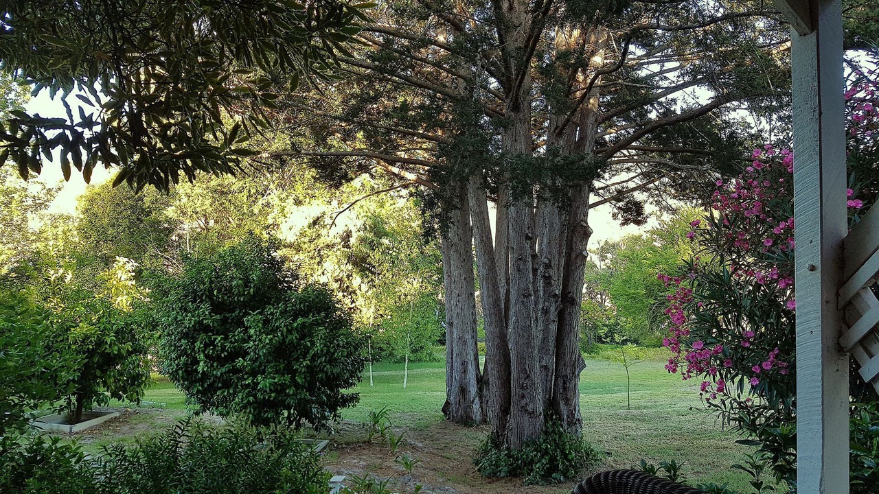 Photo of Outdoor in Balingup