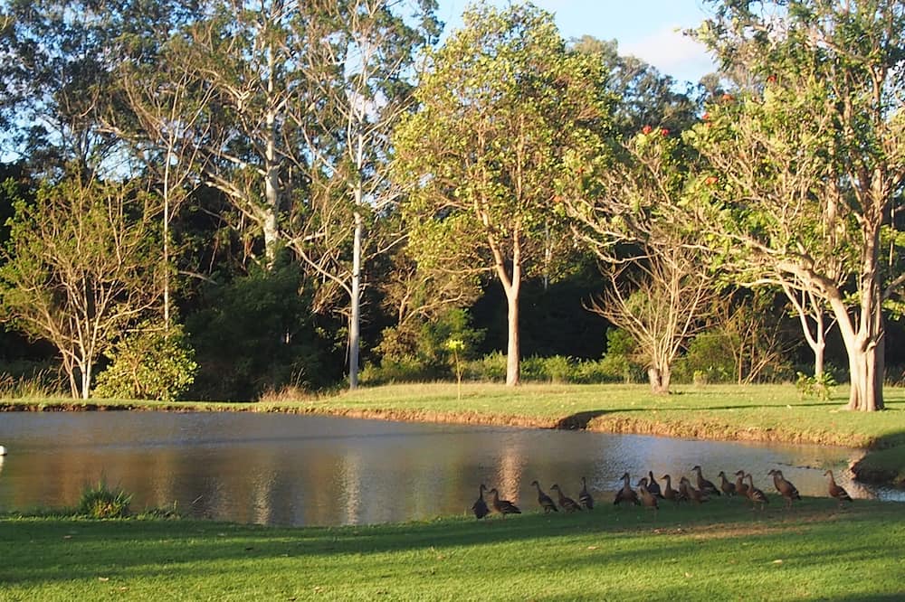 Photo of Others in Bellmere