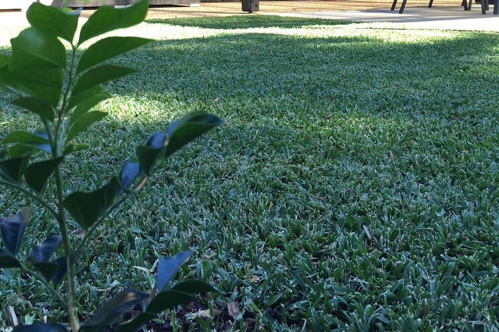 Photo of Outdoor in Bellmere