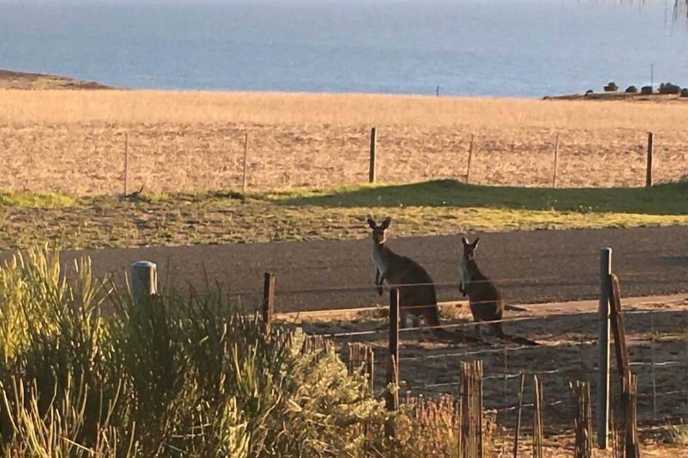 Photo of Others in Cape Jervis