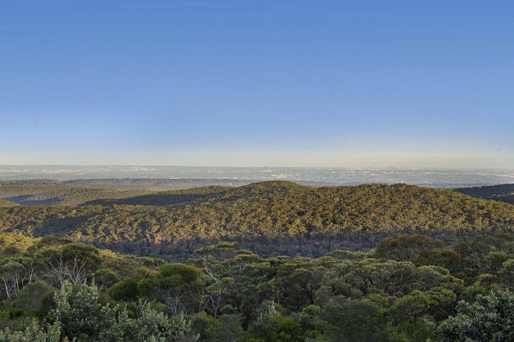 Photo of Outdoor in Woodford