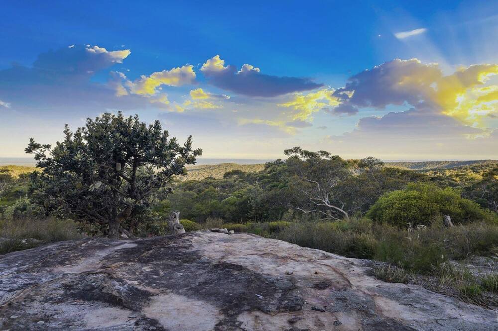 Photo of Outdoor in Woodford