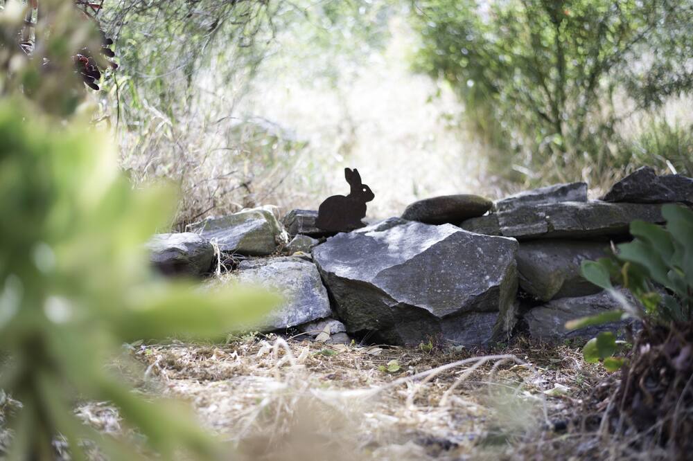 Photo of Outdoor in Second Valley