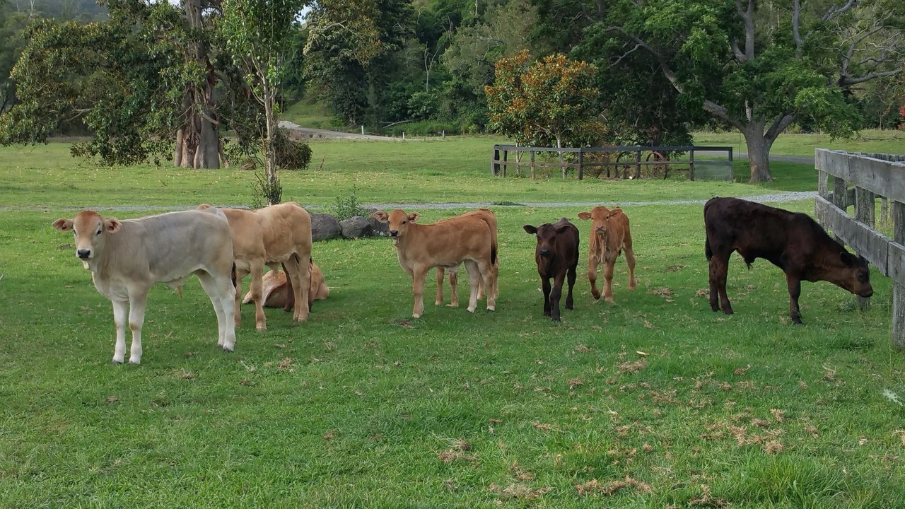 Photo of Outdoor in Sarabah