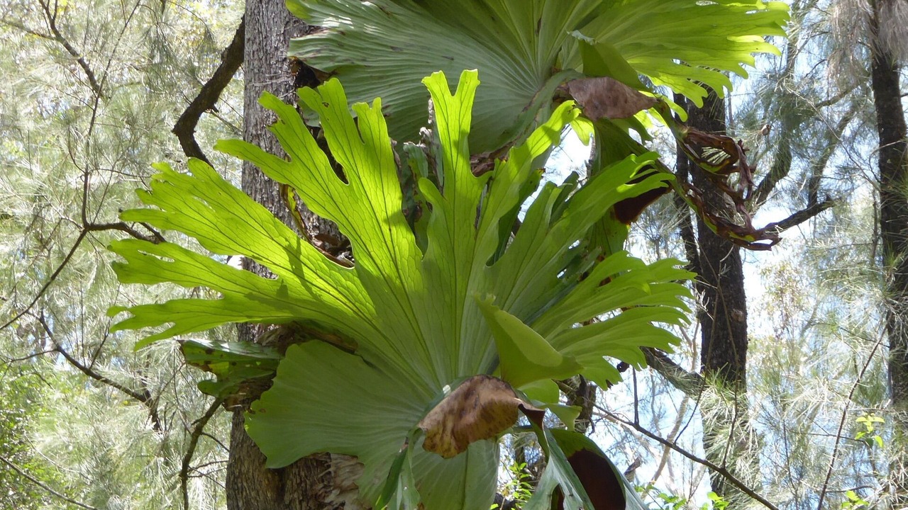 Photo of Outdoor in Pumpenbil